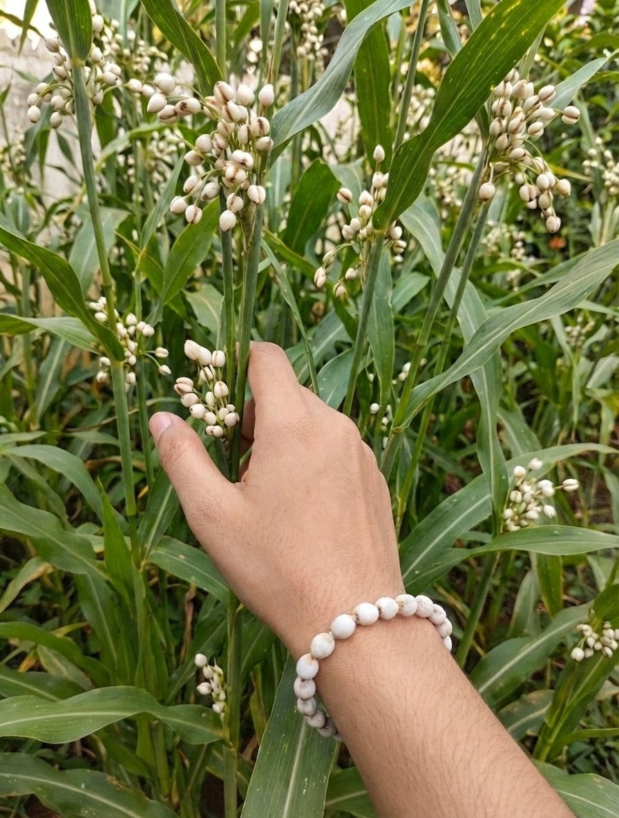 The Connection Set (White)